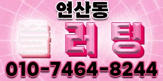 ✔️이쁜이로다가 단체문의 환영✔️프라이빗op✔️아늑한 1인1실✔️재방문률200%✔️내상없음 ✔️와꾸파 환영 - 오피삼국지